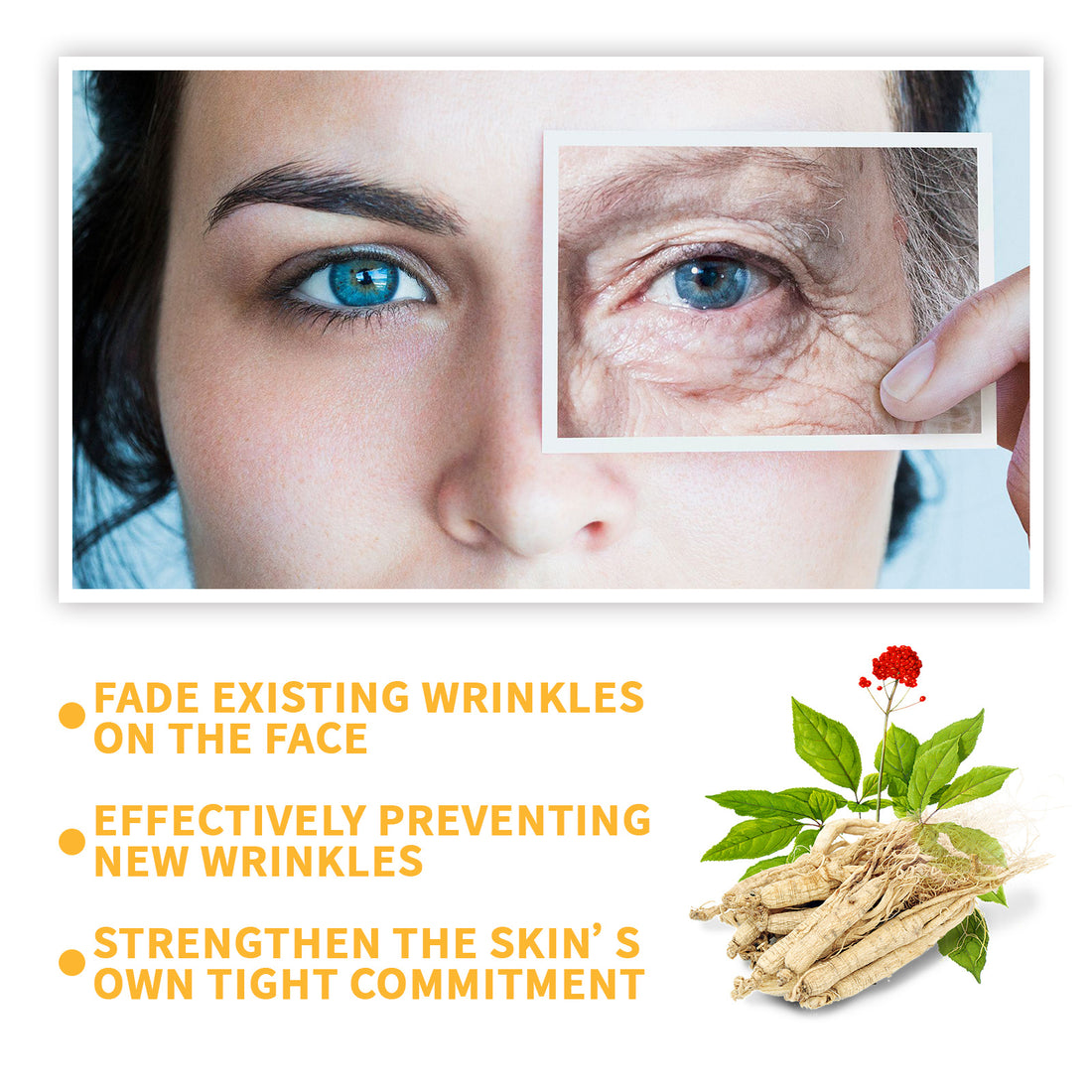 Ginseng Anti-Wrinkle Serum